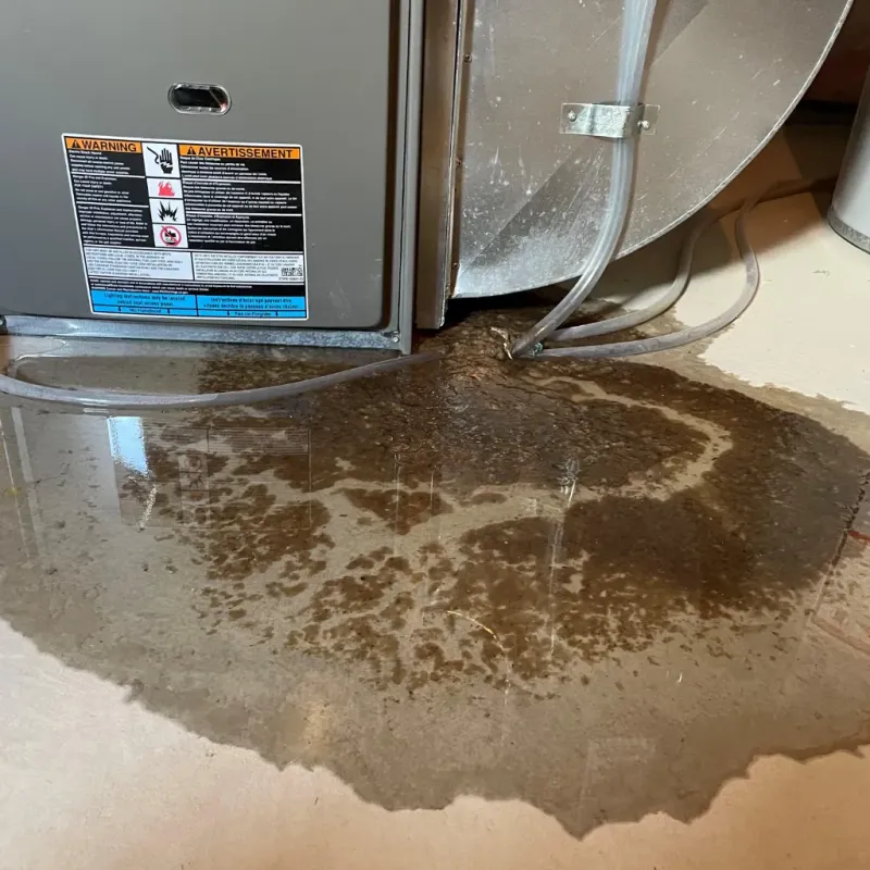 Appliance Leak Cleanup in Minco, OK